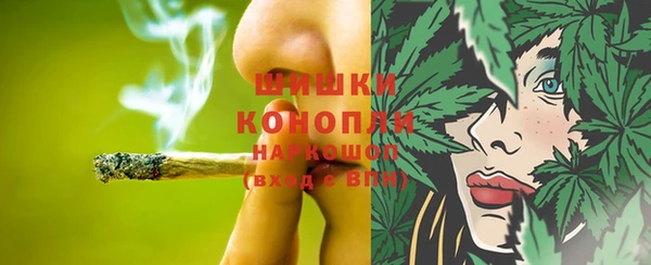 молекула духа Белокуриха