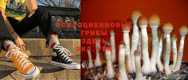 молекула духа Балабаново
